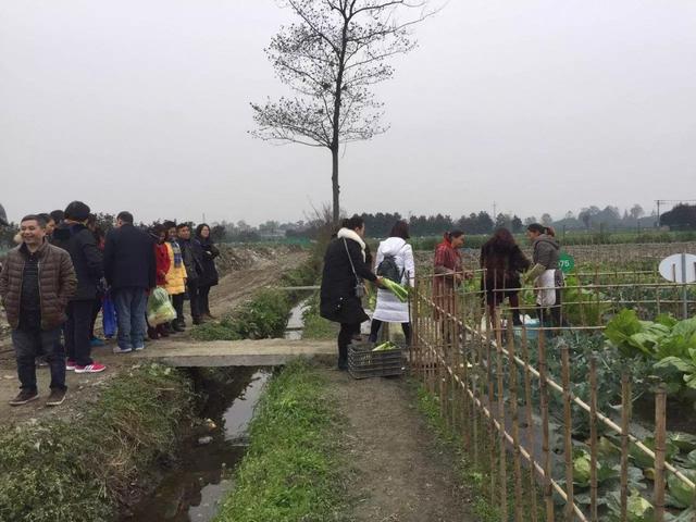 地還是那些地，人還是原來那些人，開心田園幫助農民致富大轉變！