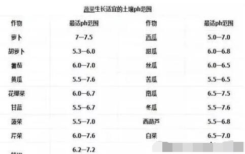 農(nóng)業(yè)種植技術(shù):蔬菜土壤的酸堿度調(diào)節(jié)