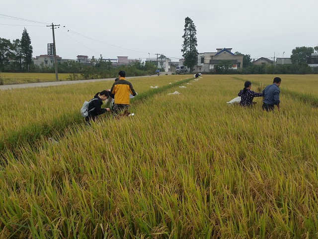 成都華宏生物耕地土壤鎘污染治理實(shí)驗(yàn)喜獲成功