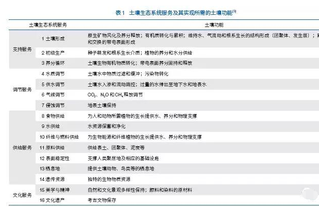 從問題到解決方案：土壤與可持續(xù)發(fā)展目標的實現(xiàn)