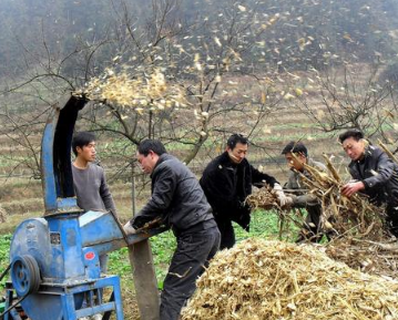 土壤板結(jié)肥力下降怎么辦？這五步讓土壤迅速改良，糧食豐產(chǎn)增收！