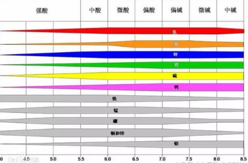 土壤酸堿度：深度剖析酸堿度對不同作物的影響