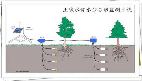 土層厚度、土壤質(zhì)地、肥力、水、氣、酸堿度等會(huì)影響果樹(shù)的生長(zhǎng)