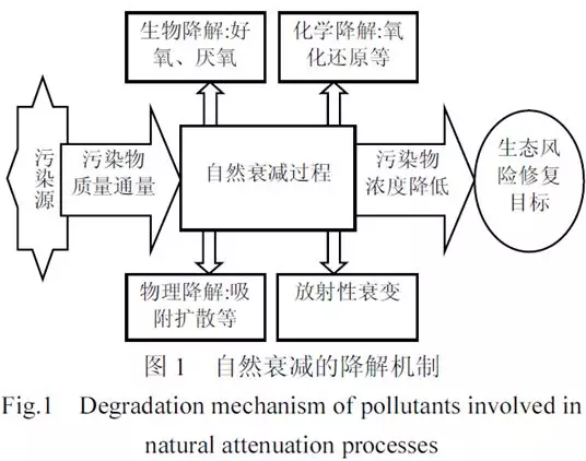 土壤和地下水污染的監(jiān)控自然衰減修復(fù)技術(shù)研究進(jìn)展