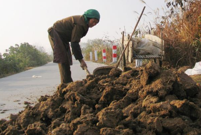 “土地是農(nóng)民的根”土壤惡化嚴(yán)重，農(nóng)家肥改善土質(zhì)！如何算發(fā)酵好