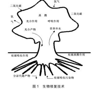 污染土壤修復技術的探討