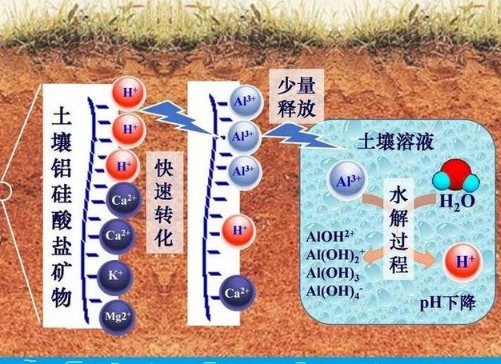 土壤酸化的幾個(gè)冷知識(shí)！銨態(tài)氮肥會(huì)引起土壤酸化？