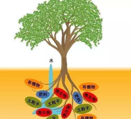 這么能干！除了促進(jìn)作物生長(zhǎng)，土壤微生物還能降解農(nóng)藥，樣樣在行