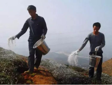 種地必須要懂土壤酸堿度，史上最全知識(shí)匯總來(lái)幫您!