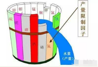 土壤說：我想我累了 需要洪荒之力