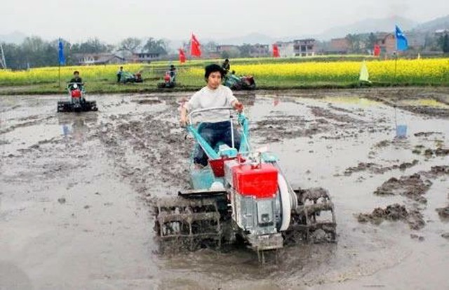 首屆“中國農(nóng)民豐收節(jié)”江西系列活動即將開啟