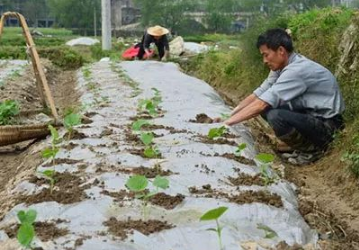 改良菜地土壤措施