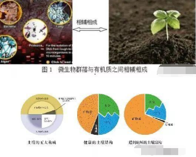 土壤急劇酸化對作物生長有哪三大惡果？如何防治土壤酸化？