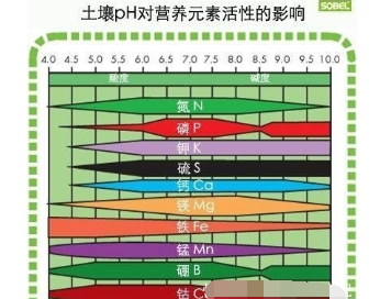 農(nóng)技小知識: 石灰調(diào)節(jié)土壤酸性要注意, 可能導(dǎo)致土壤缺鐵