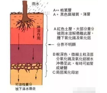 果園土壤改良方案 這回說(shuō)的最靠譜！土壤管理是農(nóng)業(yè)生產(chǎn)中非常重要的一環(huán)，對(duì)果園來(lái)說(shuō)尤其重要。土壤質(zhì)地、