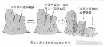 果園土壤改良方案 這回說(shuō)的最靠譜！土壤管理是農(nóng)業(yè)生產(chǎn)中非常重要的一環(huán)，對(duì)果園來(lái)說(shuō)尤其重要。土壤質(zhì)地、