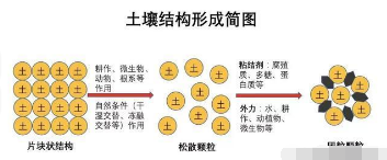 果園土壤改良方案 這回說(shuō)的最靠譜！土壤管理是農(nóng)業(yè)生產(chǎn)中非常重要的一環(huán)，對(duì)果園來(lái)說(shuō)尤其重要。土壤質(zhì)地、