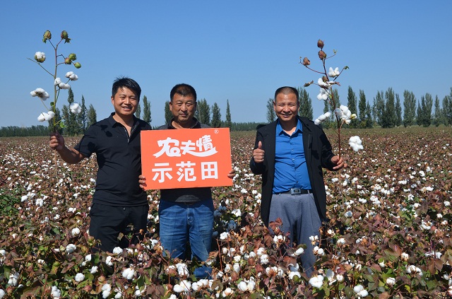 粒粒農(nóng)夫情 顆顆寸草心！