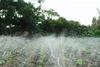 必看果園土壤改良最靠譜的方案！