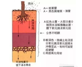 必看果園土壤改良最靠譜的方案！