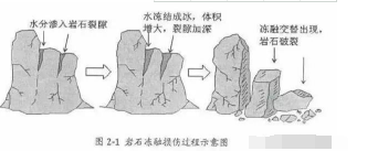 必看果園土壤改良最靠譜的方案！