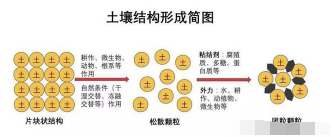 必看果園土壤改良最靠譜的方案！