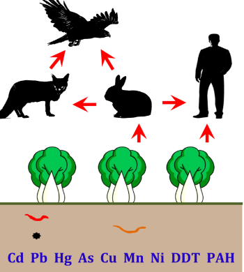 土壤會(huì)生病嗎？生病了怎么辦？