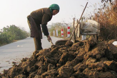 土壤改良：我們就從這3個(gè)方面下手！