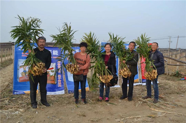 服務(wù)十萬種植戶、開萬場(chǎng)會(huì)議、投入千萬！只為“健康土壤”計(jì)劃！