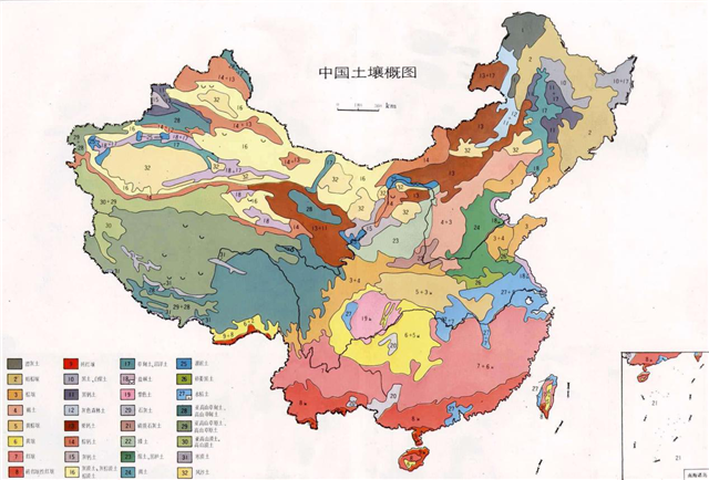 碳?xì)淇茖W(xué)1200問(wèn)之006組：從環(huán)球褐藻門到中國(guó)寒冷期