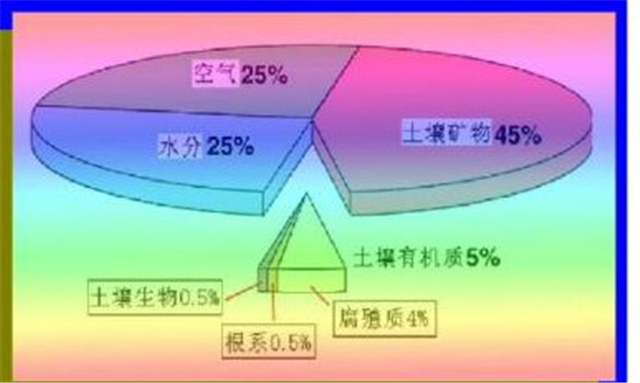 碳?xì)淇茖W(xué)1200問(wèn)之006組：從環(huán)球褐藻門到中國(guó)寒冷期