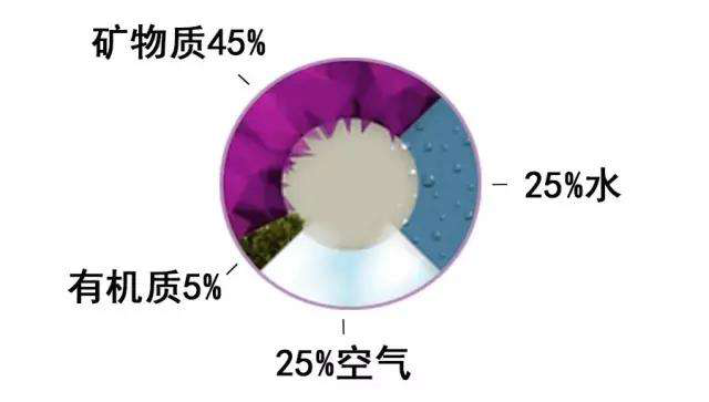 碳?xì)淇茖W(xué)1200問(wèn)之007組：從土壤物質(zhì)到土壤成因