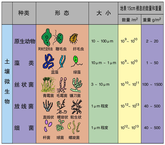 碳?xì)淇茖W(xué)1200問(wèn)之007組：從土壤物質(zhì)到土壤成因