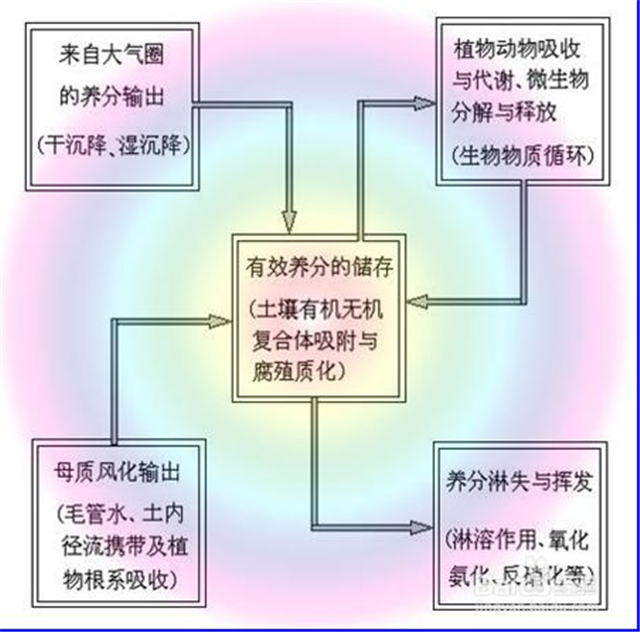 碳?xì)淇茖W(xué)1200問(wèn)之007組：從土壤物質(zhì)到土壤成因