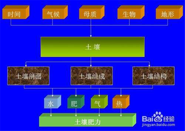 碳?xì)淇茖W(xué)1200問(wèn)之007組：從土壤物質(zhì)到土壤成因