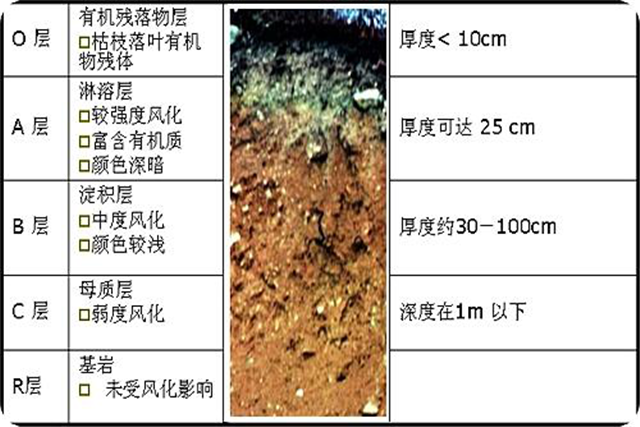 碳?xì)淇茖W(xué)1200問(wèn)之008組：從土壤污染悲劇到二氧化碳災(zāi)難