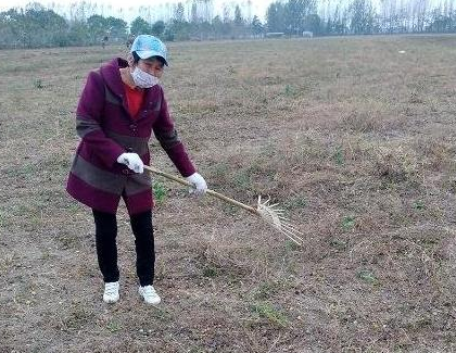 土壤為何會呈現“病態(tài)”？病根是啥？何種方式能改良“病態(tài)”土壤