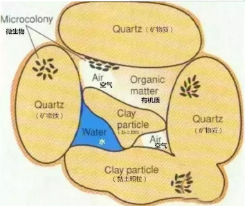 土壤板結危害大，破除板結有辦法！