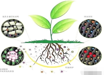 超級(jí)實(shí)用的土壤改良方法！人手一份