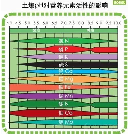 土壤病了，你用再多的肥料都是白瞎！