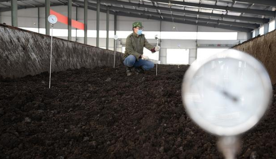 施用有機肥一定別忘了“土壤微生物”