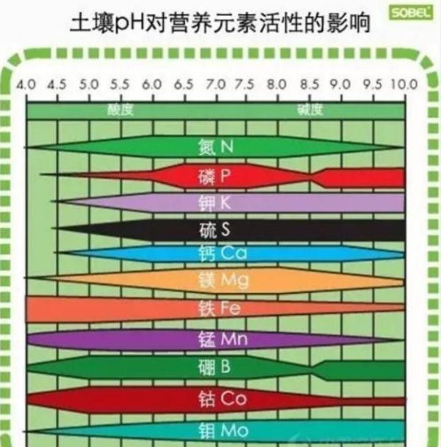 土壤病了多用肥料就會好？那你就錯大發(fā)了