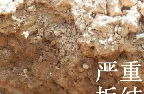 土壤病了多用肥料就會好？那你就錯大發(fā)了