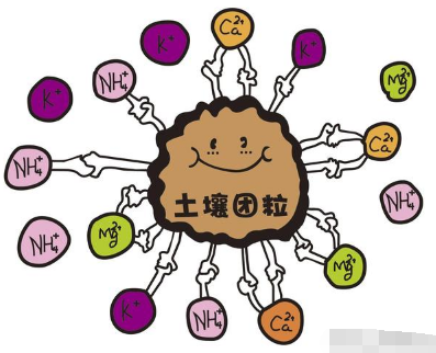 這肥料能改良土壤減少化肥投入，未來將成為農(nóng)民種地首選