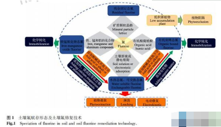 土壤氟形態(tài)與氟污染土壤修復(fù)