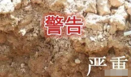 土壤不好，用再多肥料也白瞎！影響土壤健康的3大因素你知道嗎？