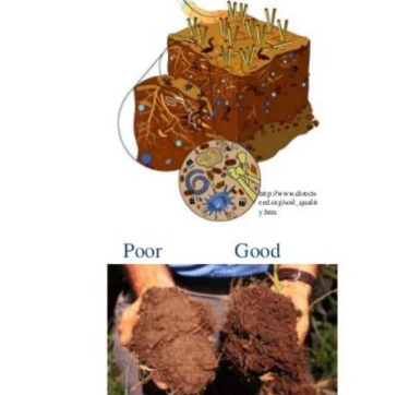 每畝用多少有機(jī)肥，土壤有機(jī)質(zhì)才能增加1%，準(zhǔn)確數(shù)據(jù)來(lái)了！