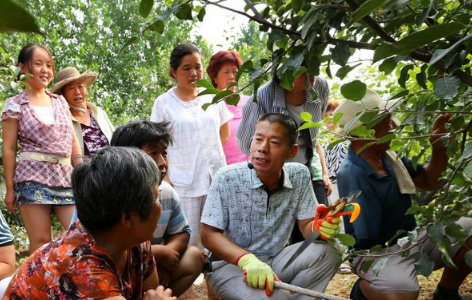 氨基酸肥料真的很厲害！全面解讀氨基酸肥料對土壤作物的作用