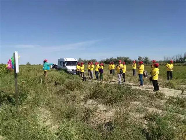 重磅消息：成都華宏傳捷報(bào)，助力新疆福海2800畝食葵喜獲豐收！