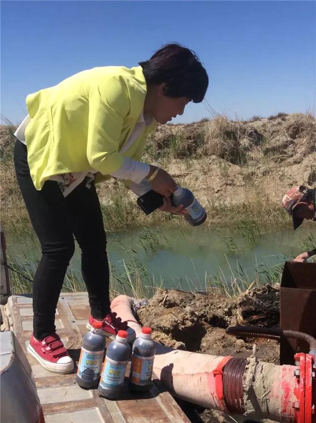 重磅消息：成都華宏傳捷報(bào)，助力新疆福海2800畝食葵喜獲豐收！